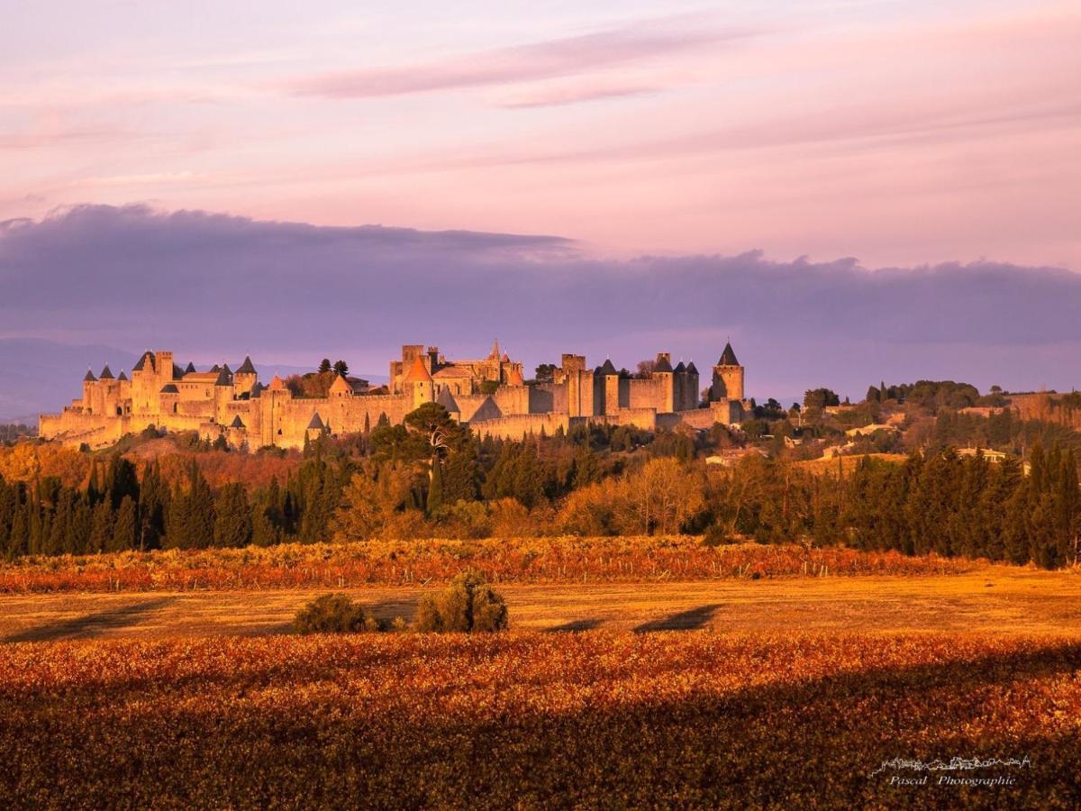 B&B-Les Balcons De Maragon Carcassonne Eksteriør bilde